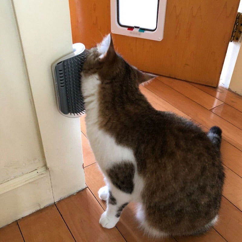 Escova com catnip para gato e pet com pelo.